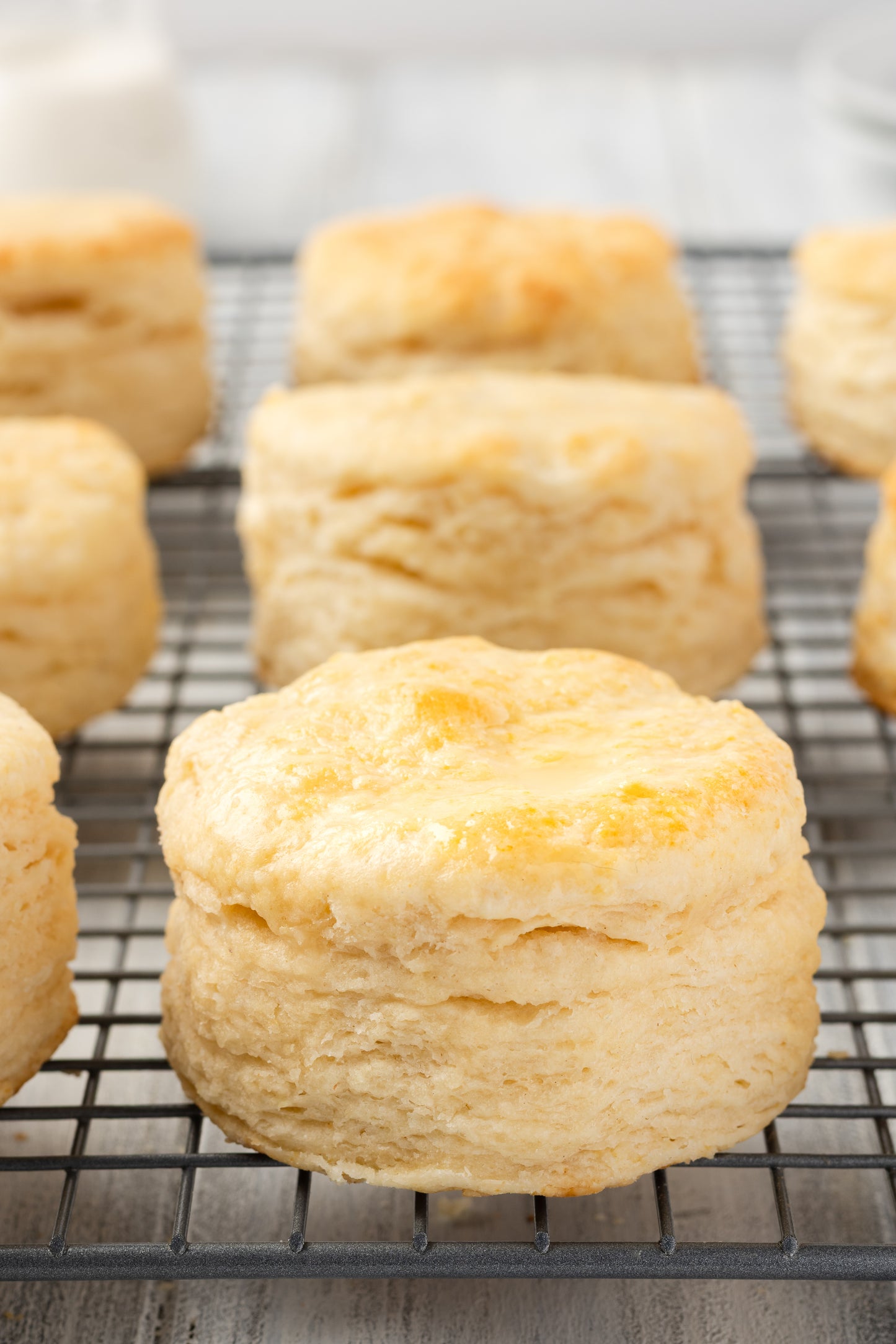 Buttermilk Biscuits