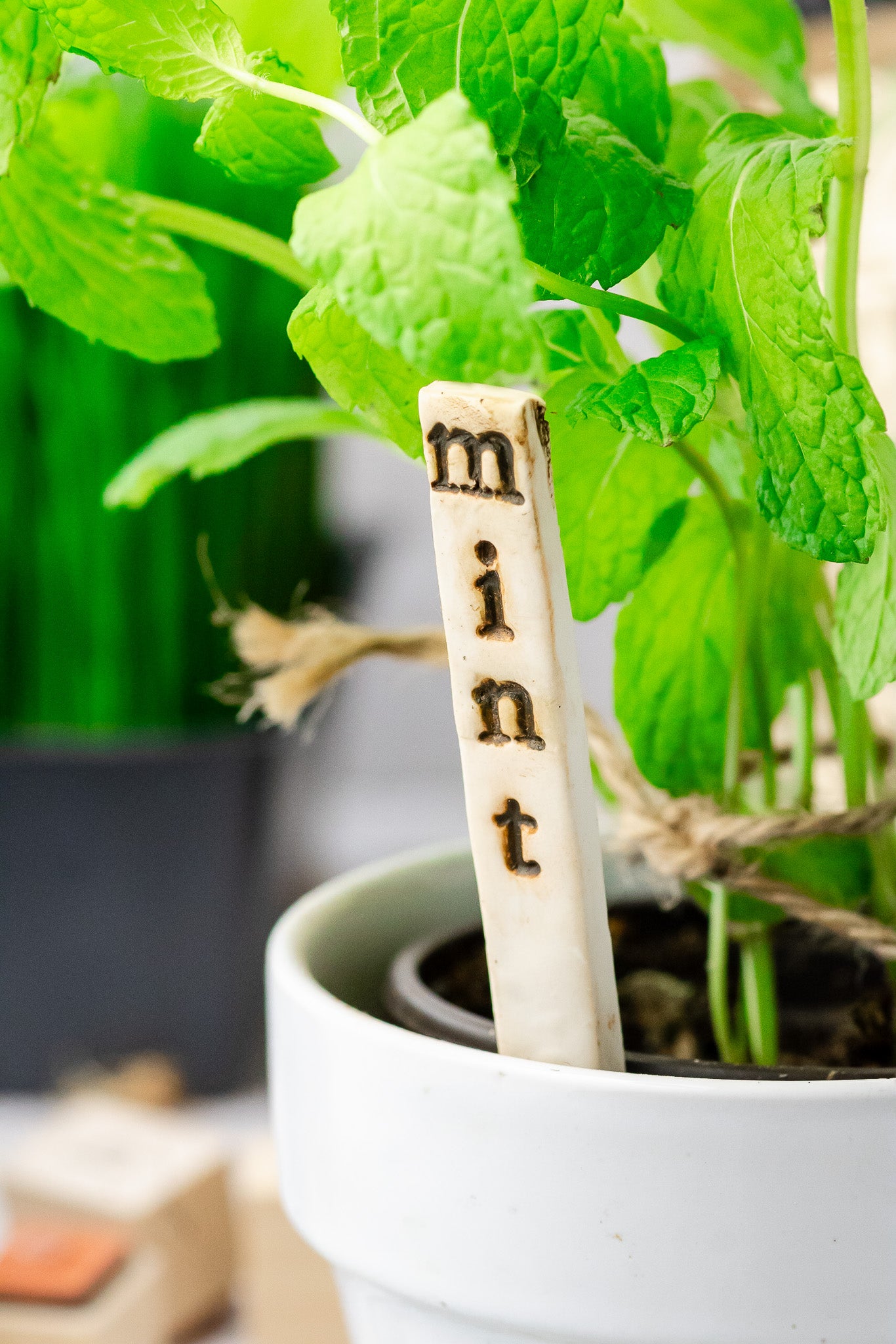 Garden Markers