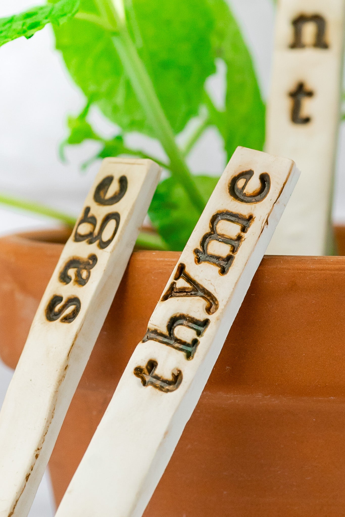 Garden Markers