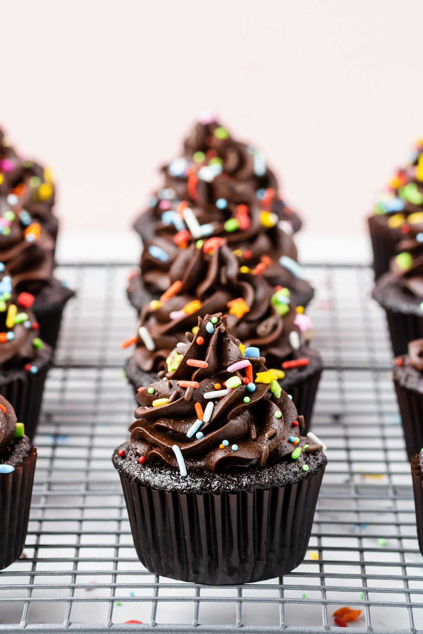 Chocolate Cream Cheese Cupcakes