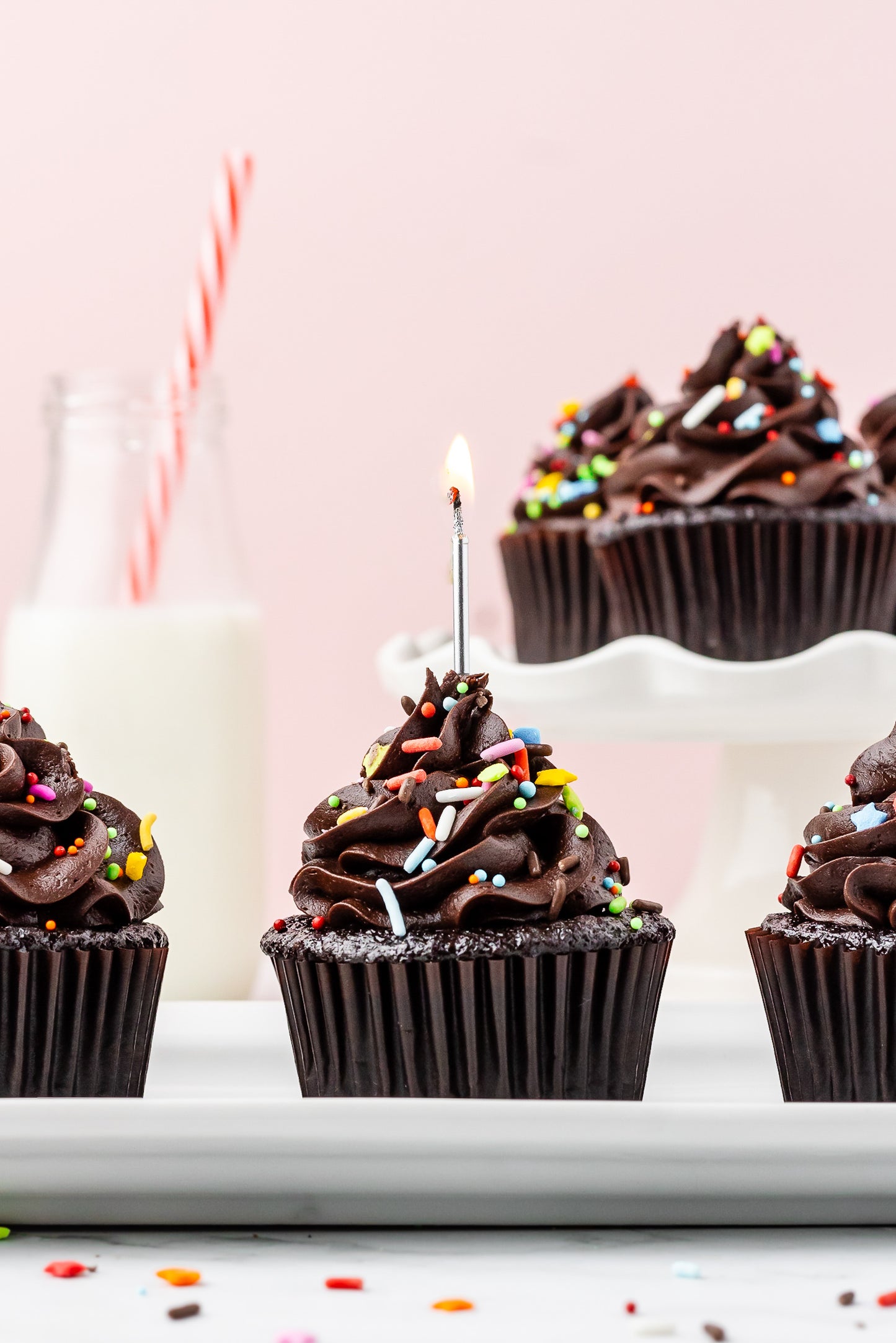 Chocolate Cream Cheese Cupcakes