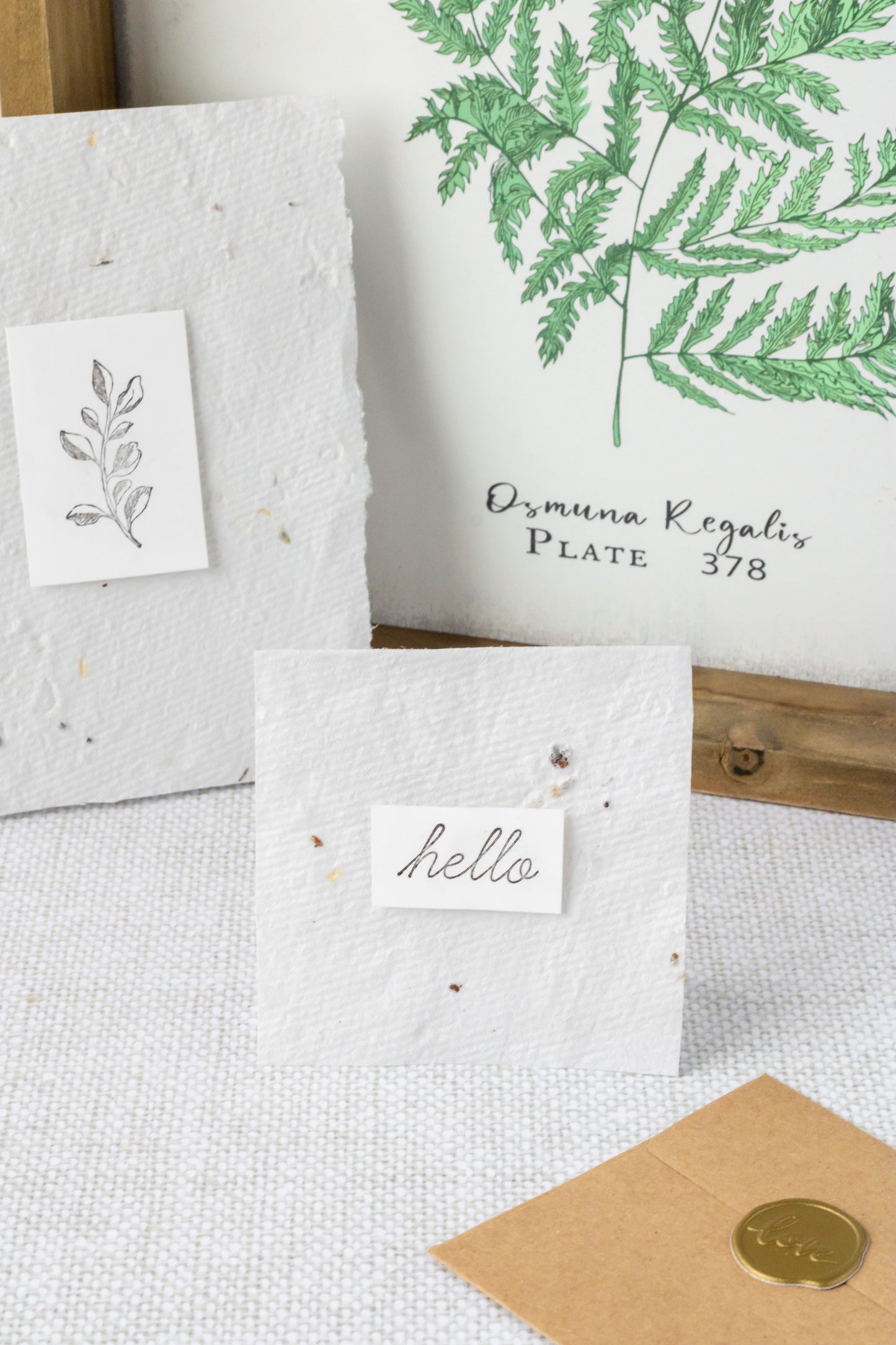 Seed Paper Cards