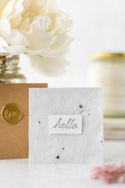 Seed Paper Cards