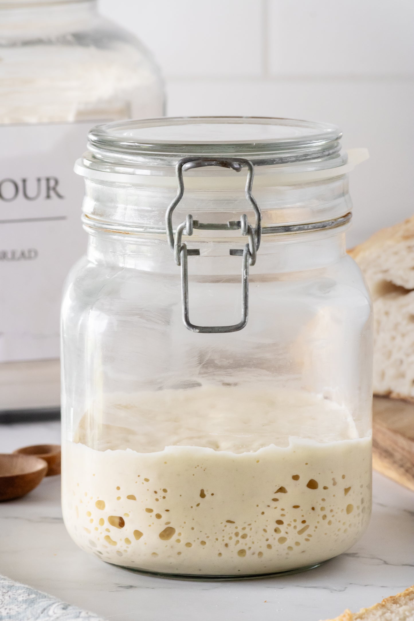 Sourdough Starter