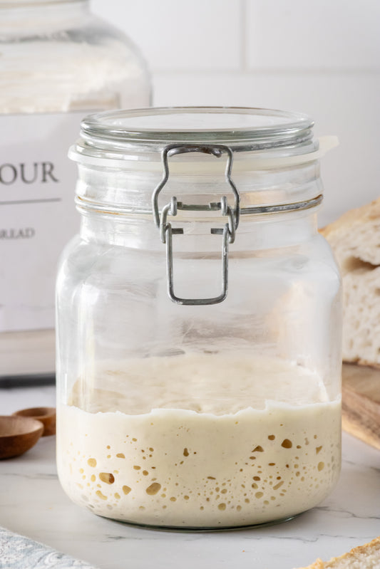 Sourdough Starter